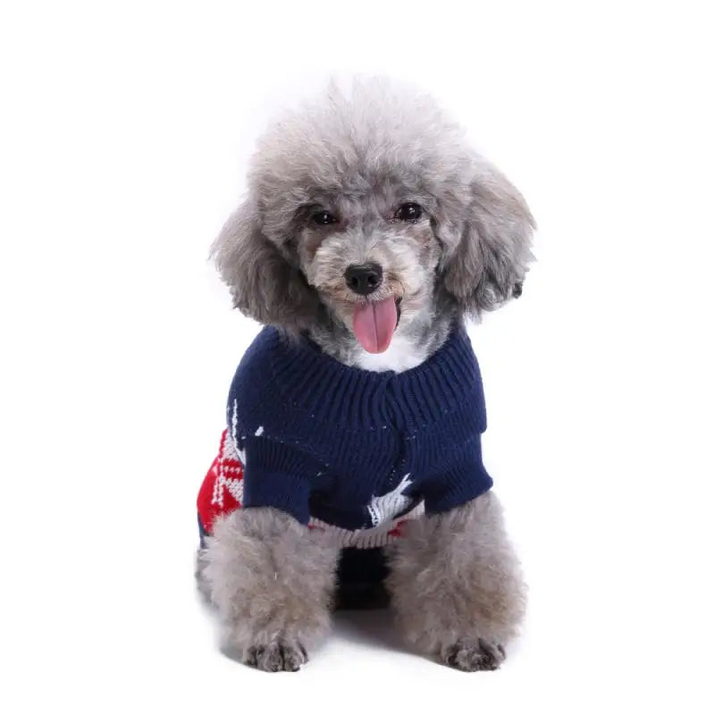 Cosy Navy Reindeer Jumper for Dogs